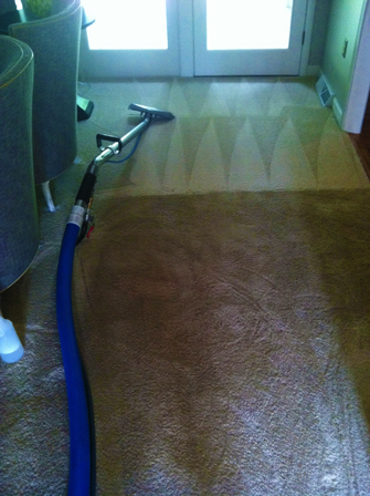clean-carpets-greenville-sc